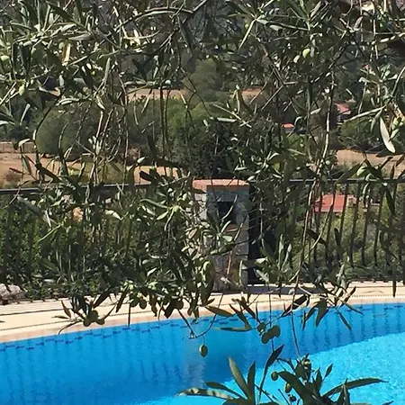 Tas Evi * Kayakoy