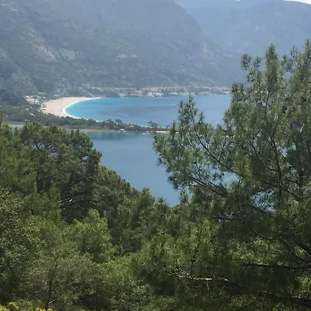 Tas Evi 别墅