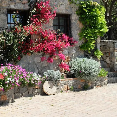 Tas Evi Villa