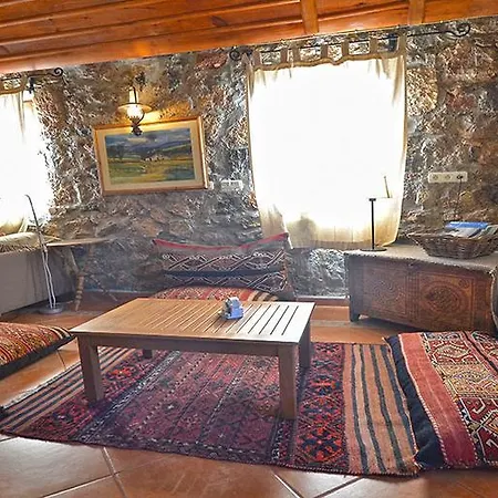 Tas Evi *